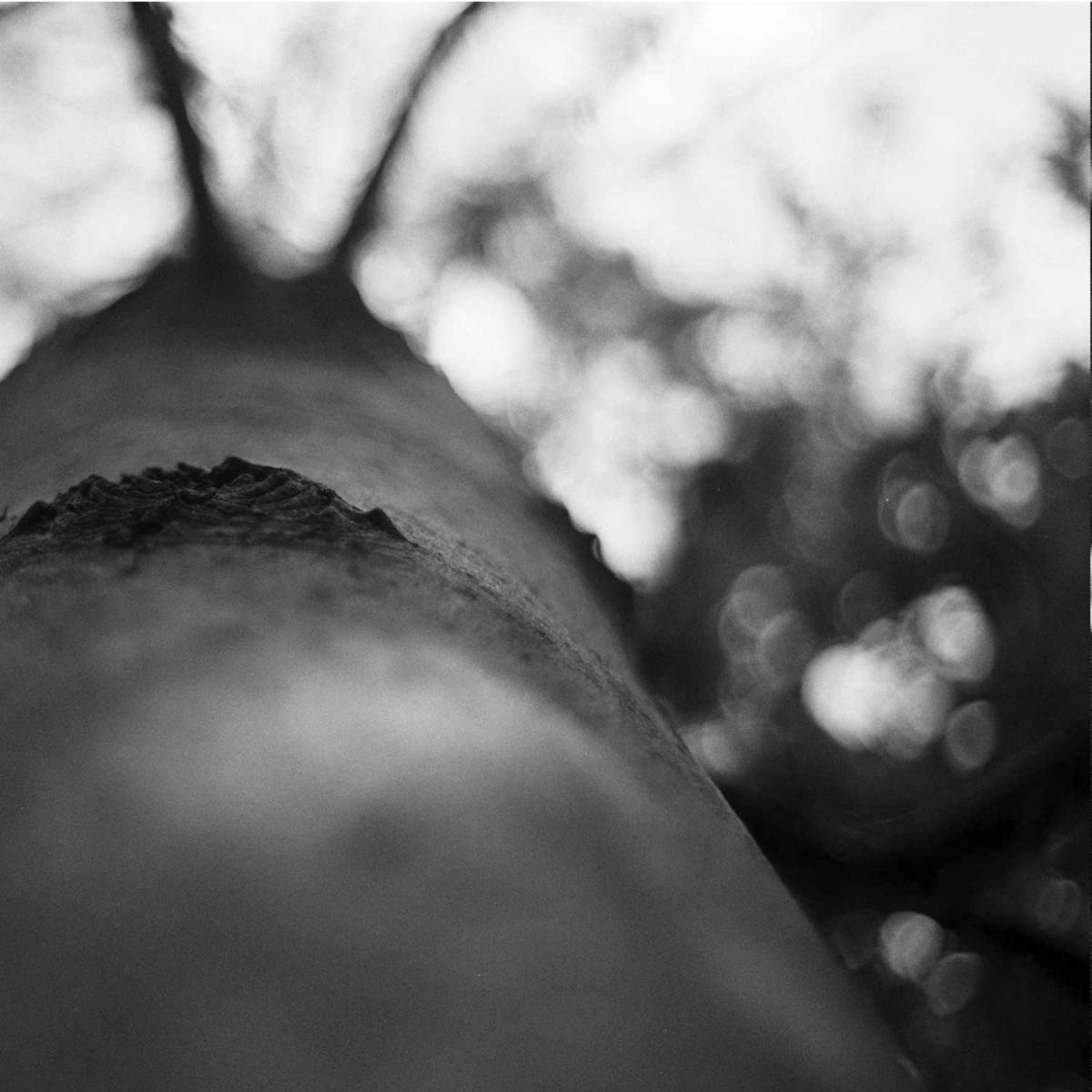 Unknown Artist - KNWN7.5 | KNWN (KNWN7.5) - main Unknown Artist - KNWN7.5 | KNWN (KNWN7.5) - main