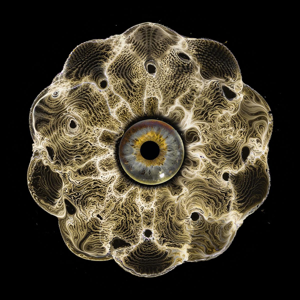 Oleg Makovskiy - Inward Currents EP | Lok Records (LOKBLK003) - main