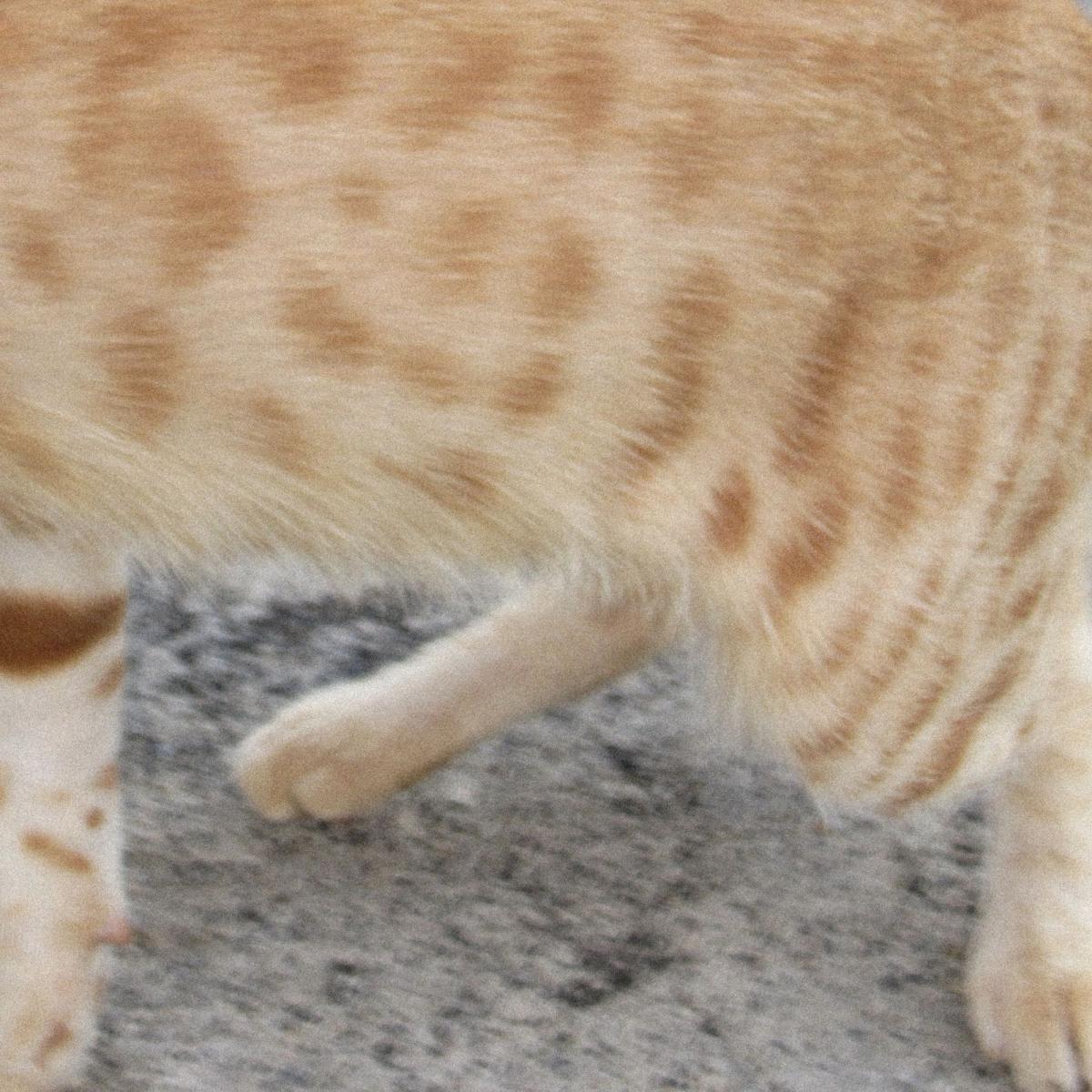 Dublon - Nectar (2026 repress) | Delicieuse Musique (DELICIEUSE031)