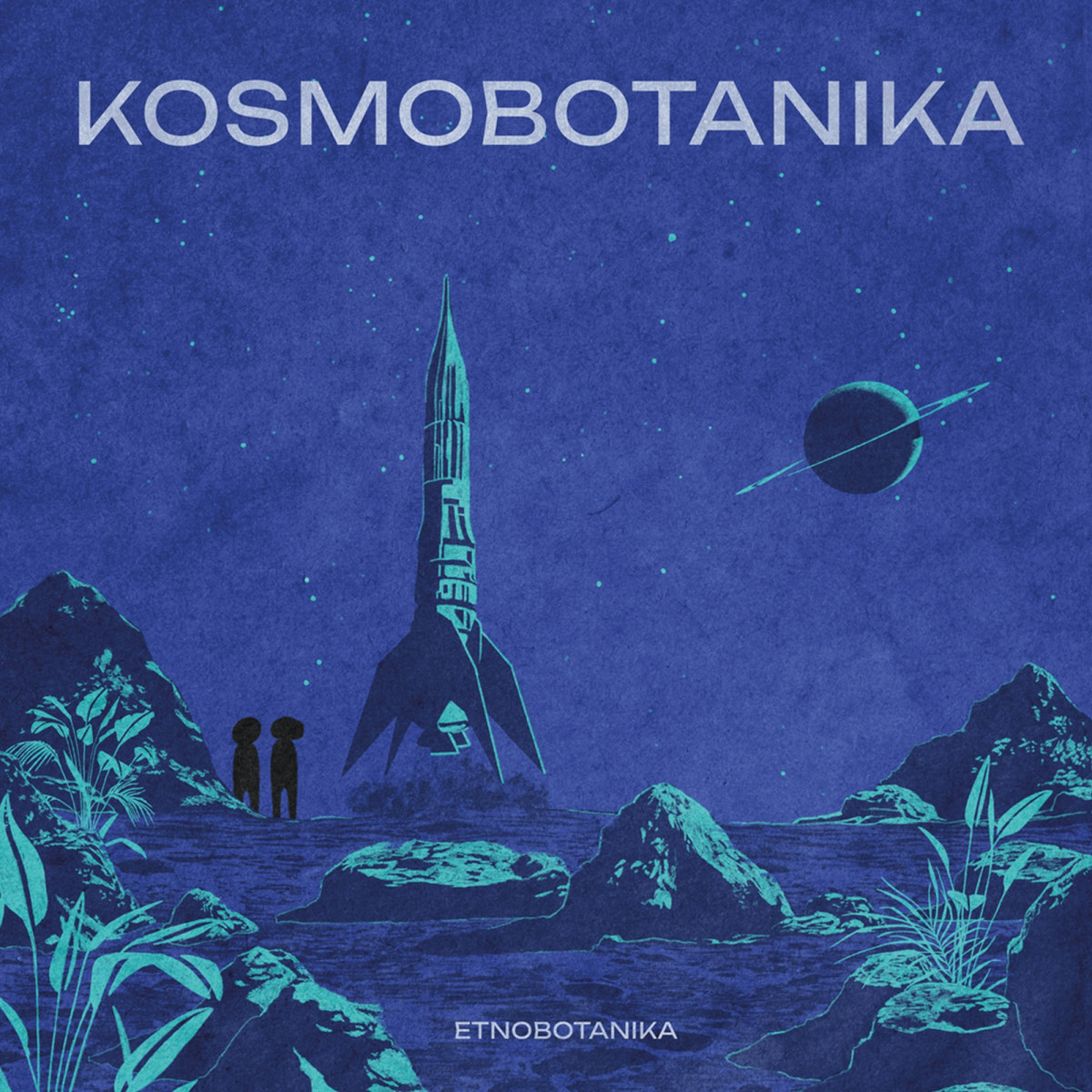 ETNOBOTANIKA - KOSMOBOTANIKA LP | The Very Polish Cut Outs (TVPCLP010) - main