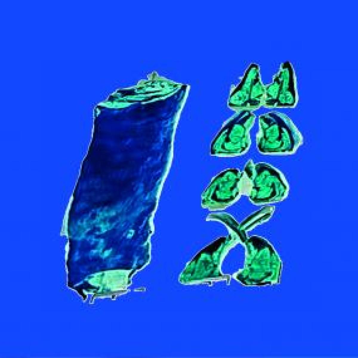 RUNNING OUT OF TIME - CASH BACK | Tax Free Records (TAX12017) RUNNING OUT OF TIME - CASH BACK | Tax Free Records (TAX12017)