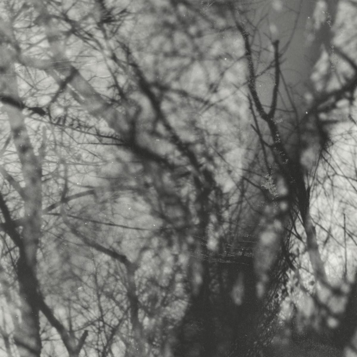 Grouper - Way Their Crept LP | Kranky Records (KRANK248LP) - main Grouper - Way Their Crept LP | Kranky Records (KRANK248LP) - main