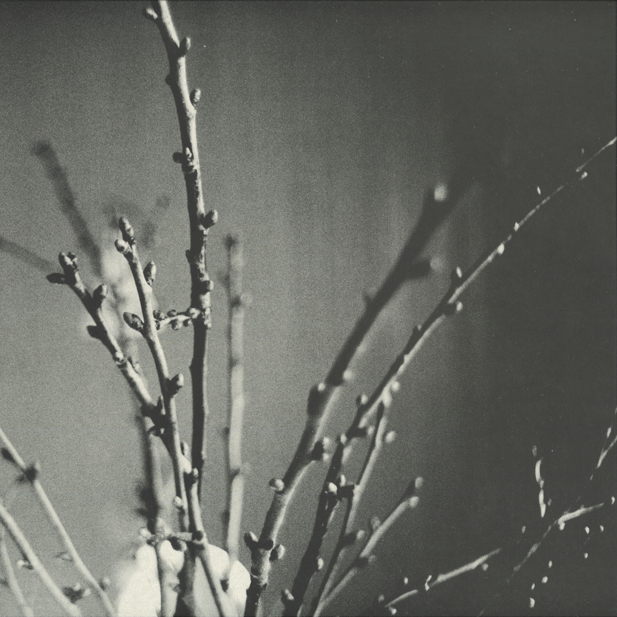 Knowone - KNWN4.5 | KNWN (KNWN4.5) Knowone - KNWN4.5 | KNWN (KNWN4.5)