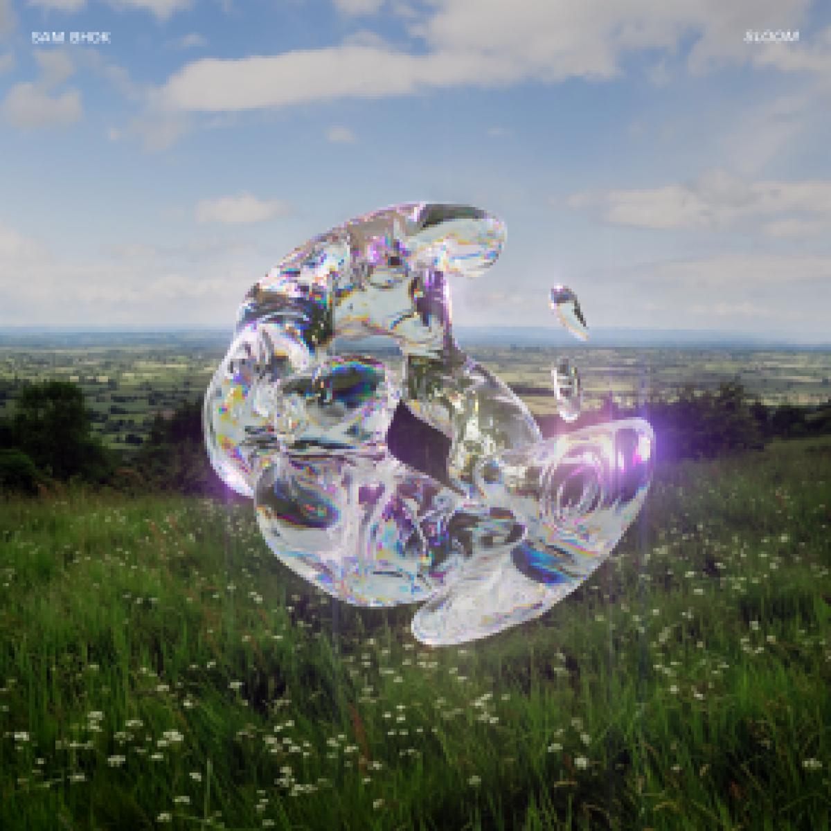 SAM BHOK - SLOOM | TWO FOR JOY (FORJOY002) SAM BHOK - SLOOM | TWO FOR JOY (FORJOY002)