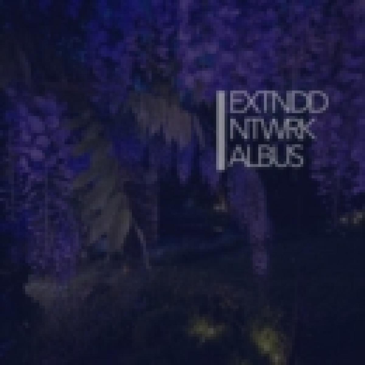 extnddntwrk - Albus 2x12 | Fourth Dimension (FD2LP160B) - main