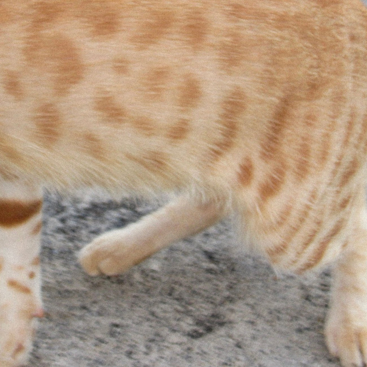 Dublon - Nectar | Délicieuse Records (DELI031)