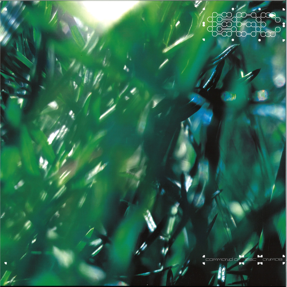 Command D - esc | Animalia (ANIMA9) Command D - esc | Animalia (ANIMA9)