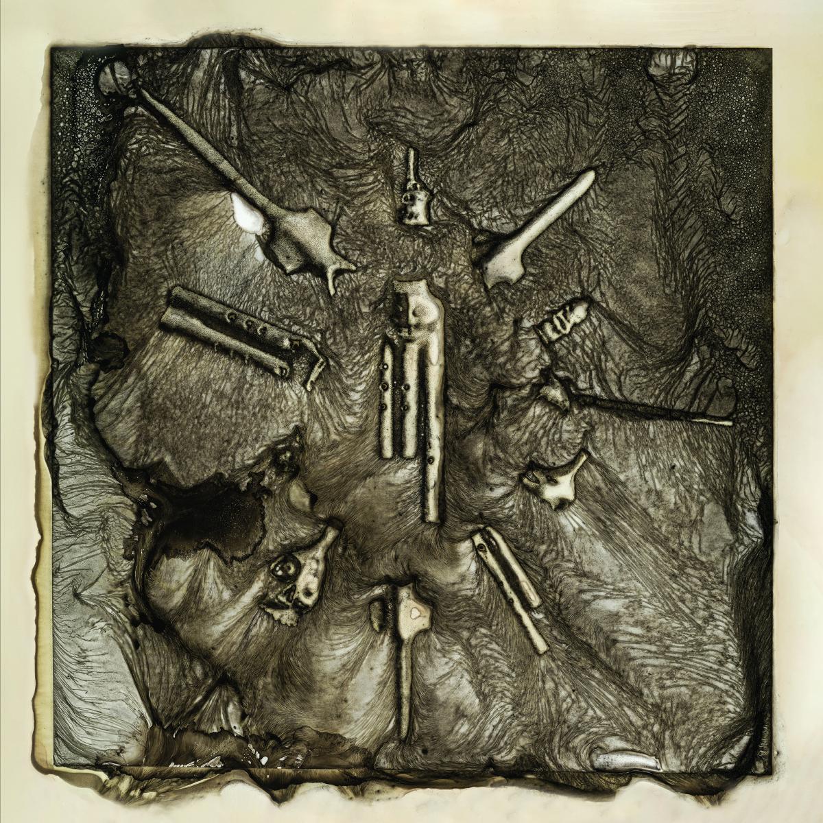 Nervio Cosmico - Singing Vessels LP | Accidental Meetings (AM029) Nervio Cosmico - Singing Vessels LP | Accidental Meetings (AM029)