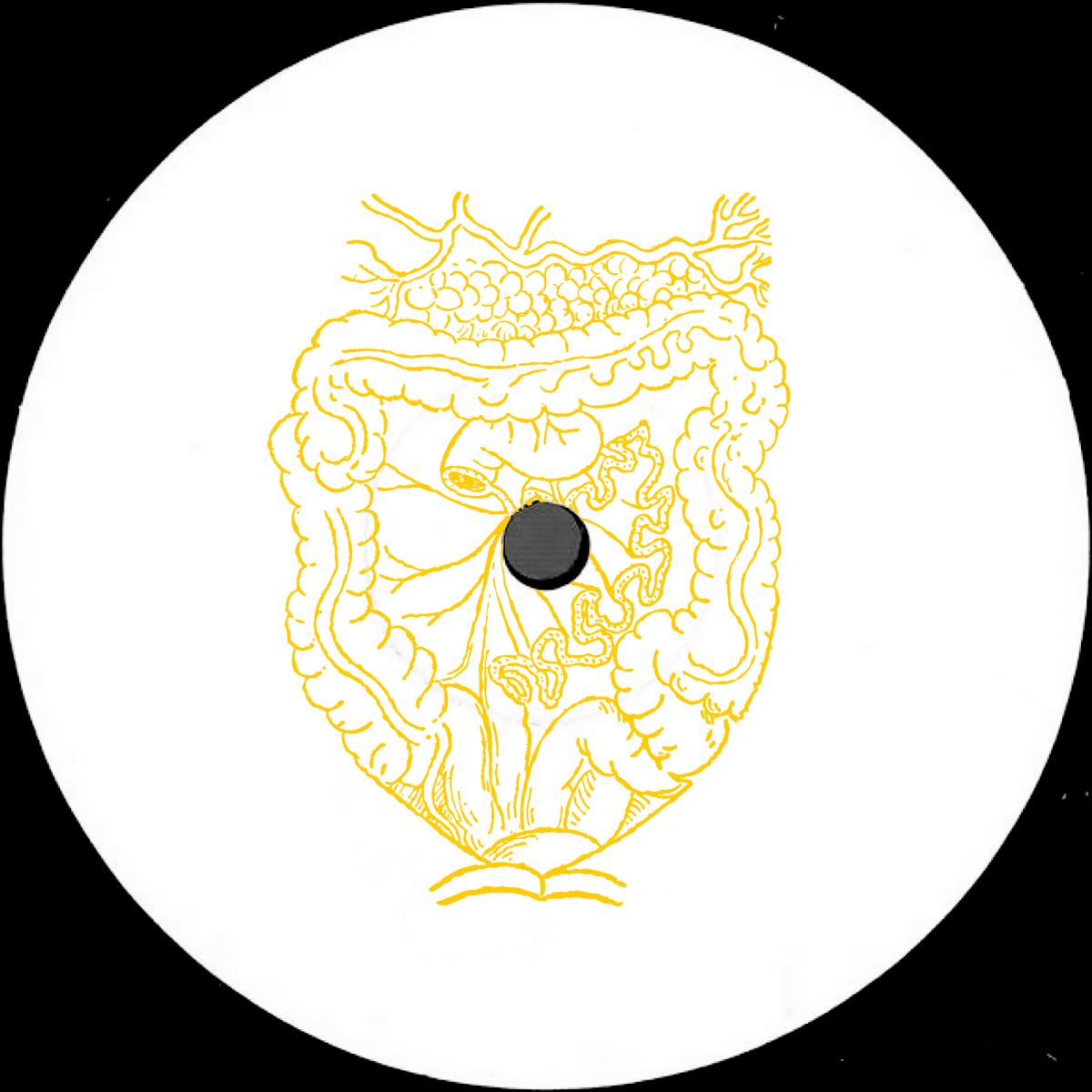 Scam Dust - Gastric Pulse | Paraíso (PARAISO018) Scam Dust - Gastric Pulse | Paraíso (PARAISO018)