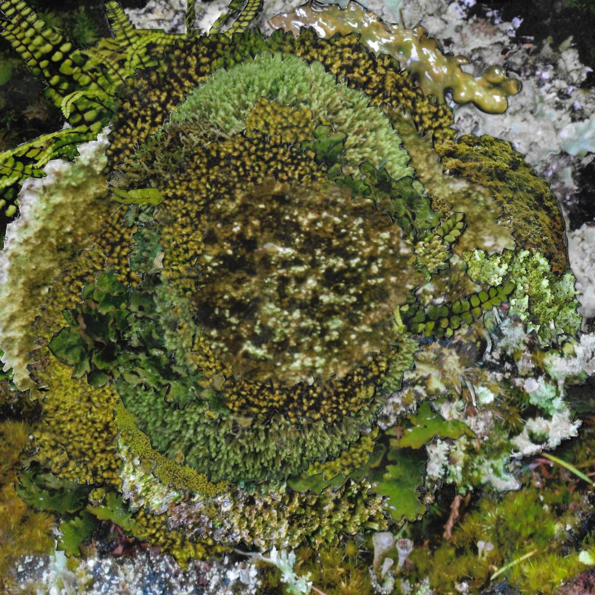 Kinzua - Never Fret, Never Fail EP | Confusion is next to happiness (CINTH002)