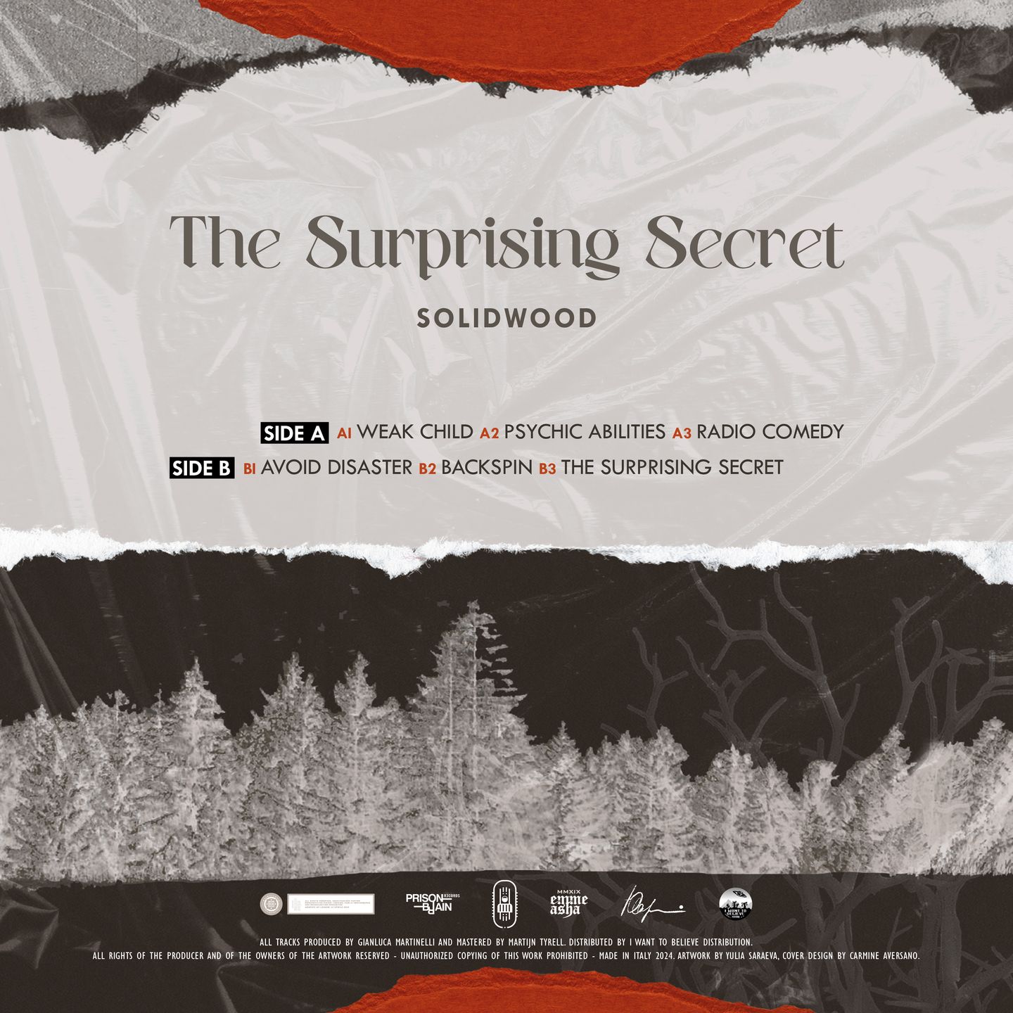 Solidwood - The Surprising Secret | Prison Brain (PB001) - main