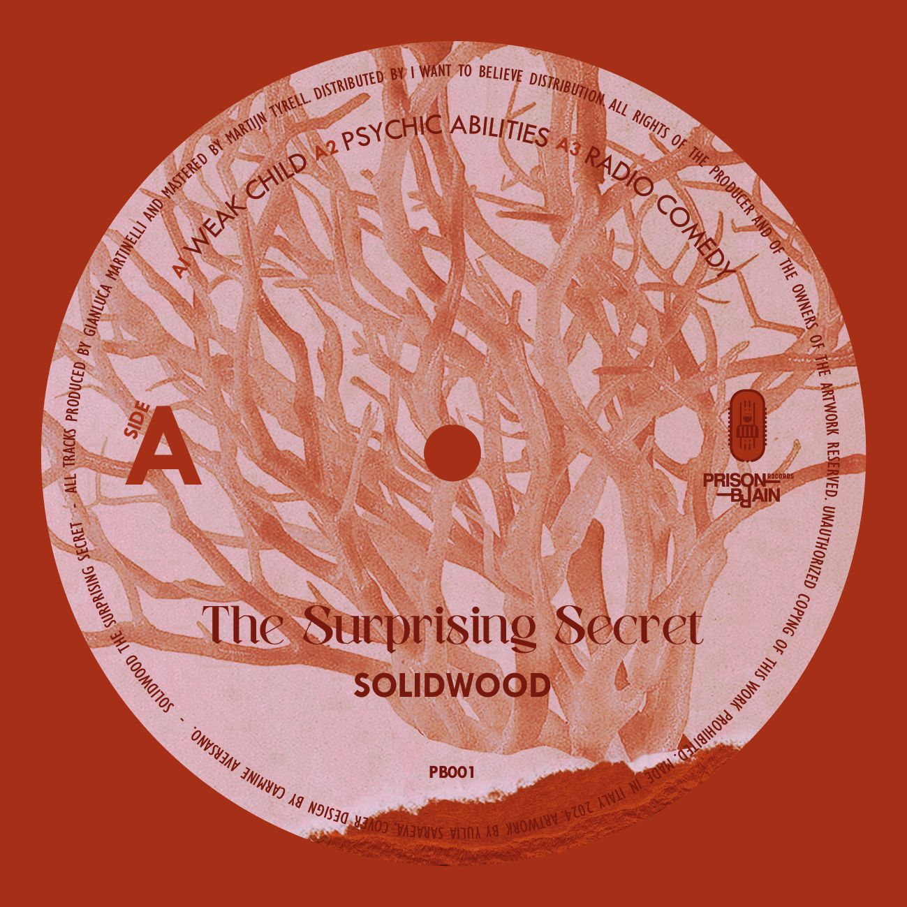 Solidwood - The Surprising Secret | Prison Brain (PB001) - 4
