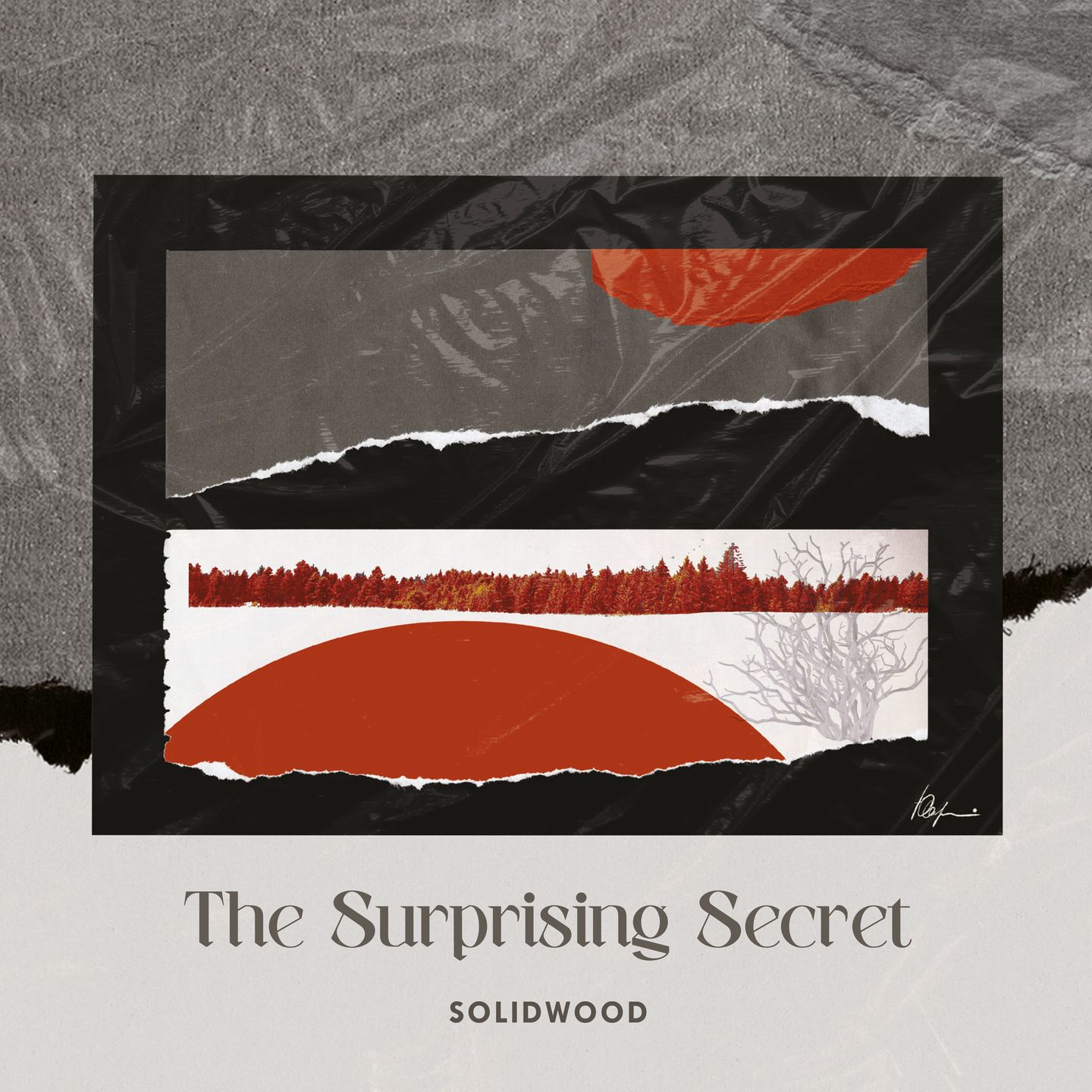 Solidwood - The Surprising Secret | Prison Brain (PB001) - 2