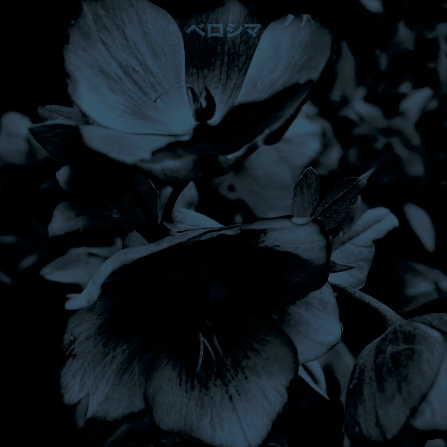 Beroshima - This Could Be... | Müller Records (MULLER2100) - main