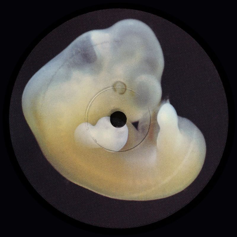 Henrik Bergqvist - Earth Creatures | Aniara Recordings (Aniara35) - main Henrik Bergqvist - Earth Creatures | Aniara Recordings (Aniara35) - main