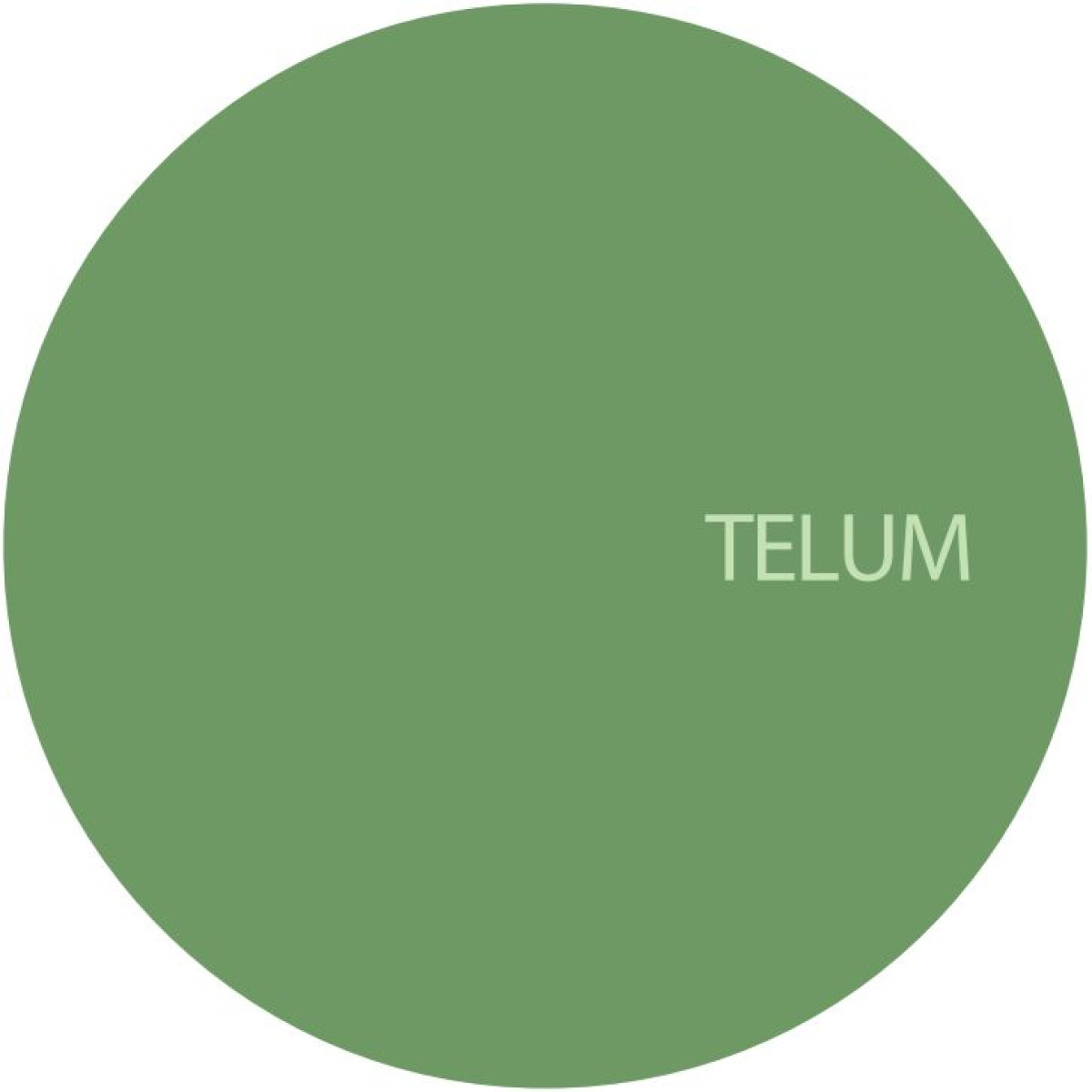 Unknown Artist - TELUM013 | Telum (TELUM013)