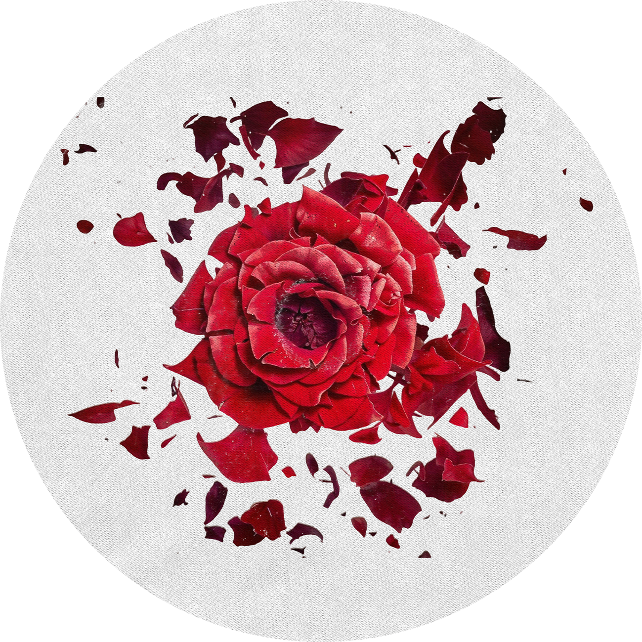 Various Artists - June Jazzin pres. - Broken Flower - Vinyl Sampler | Are You House Records (AYHR0060) - 2 Various Artists - June Jazzin pres. - Broken Flower - Vinyl Sampler | Are You House Records (AYHR0060) - 2