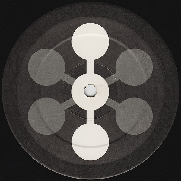 The House Is Mine / Pioneers Of The Warped Groove