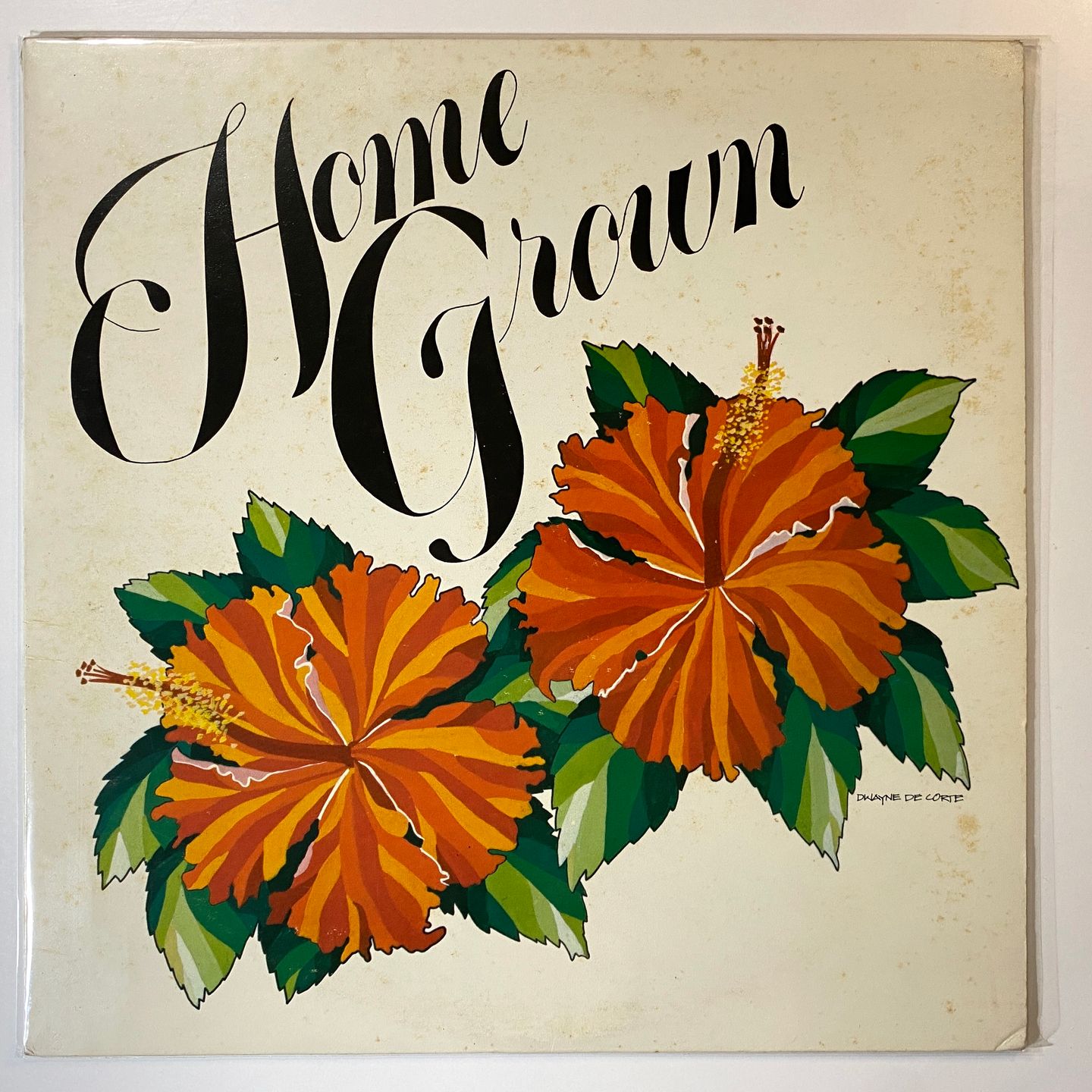 Various - Home Grown II | KKUA Records (none)