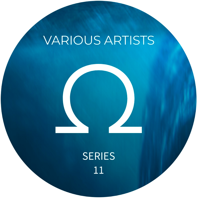 Various - Ohm Series 11 | OHM Series (OHM011)
