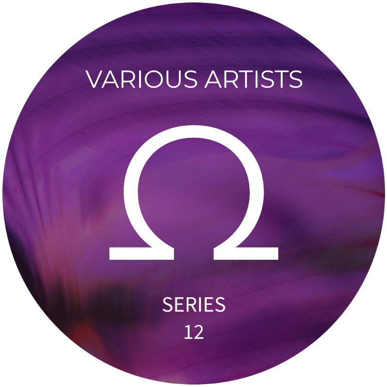 Various - Ohm Series 12 | OHM Series (OHM012)