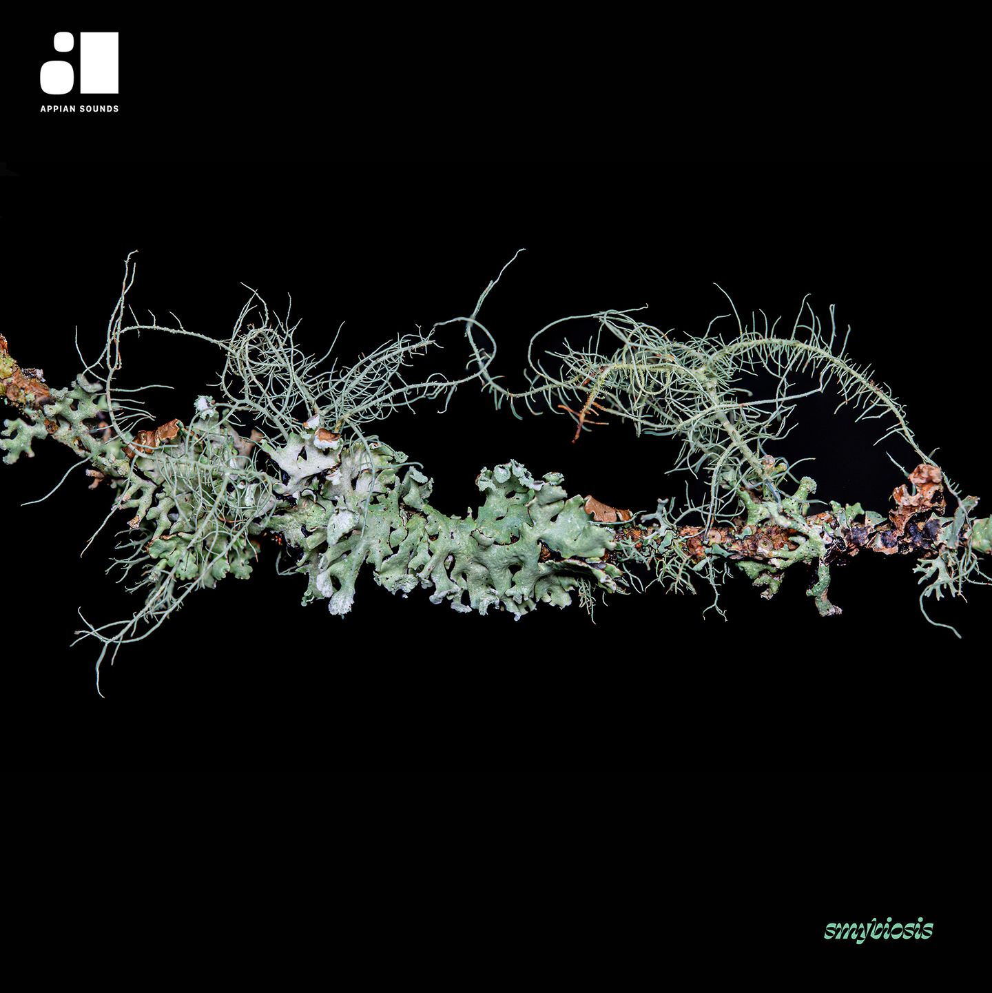 Various Artists - Symbiosis | Appian Sounds (APPIAN019) - main Various Artists - Symbiosis | Appian Sounds (APPIAN019) - main