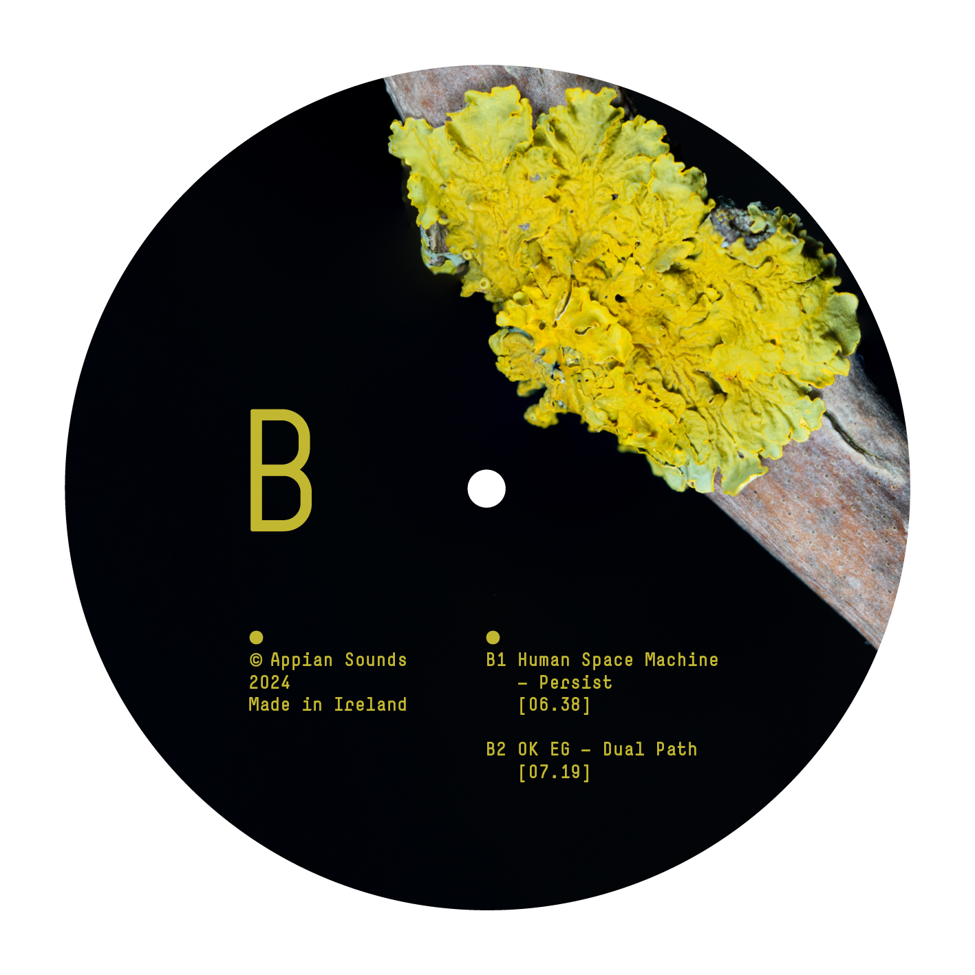 Various Artists - Symbiosis | Appian Sounds (APPIAN019) - 3 Various Artists - Symbiosis | Appian Sounds (APPIAN019) - 3
