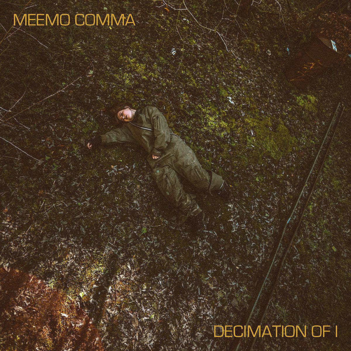 Meemo Comma - Decimation Of I | WRWTFWW Records Switzerland (WRWTFWW112) - main