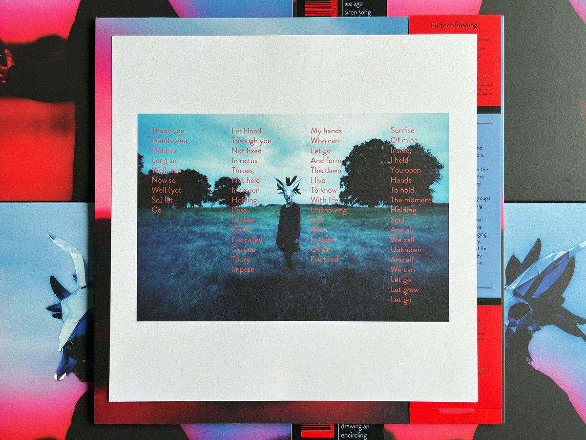 Ruth Goller - Skyllumina | International Anthem Recording Company (IARC0078) - 4