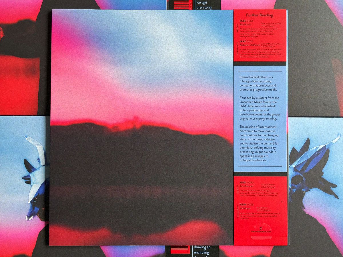 Ruth Goller - Skyllumina | International Anthem Recording Company (IARC0078) - 2