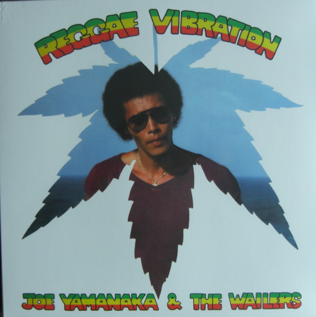 Joe Yamanaka & The Wailers - Reggae Vibration | JAMDUNG (JD001) - main
