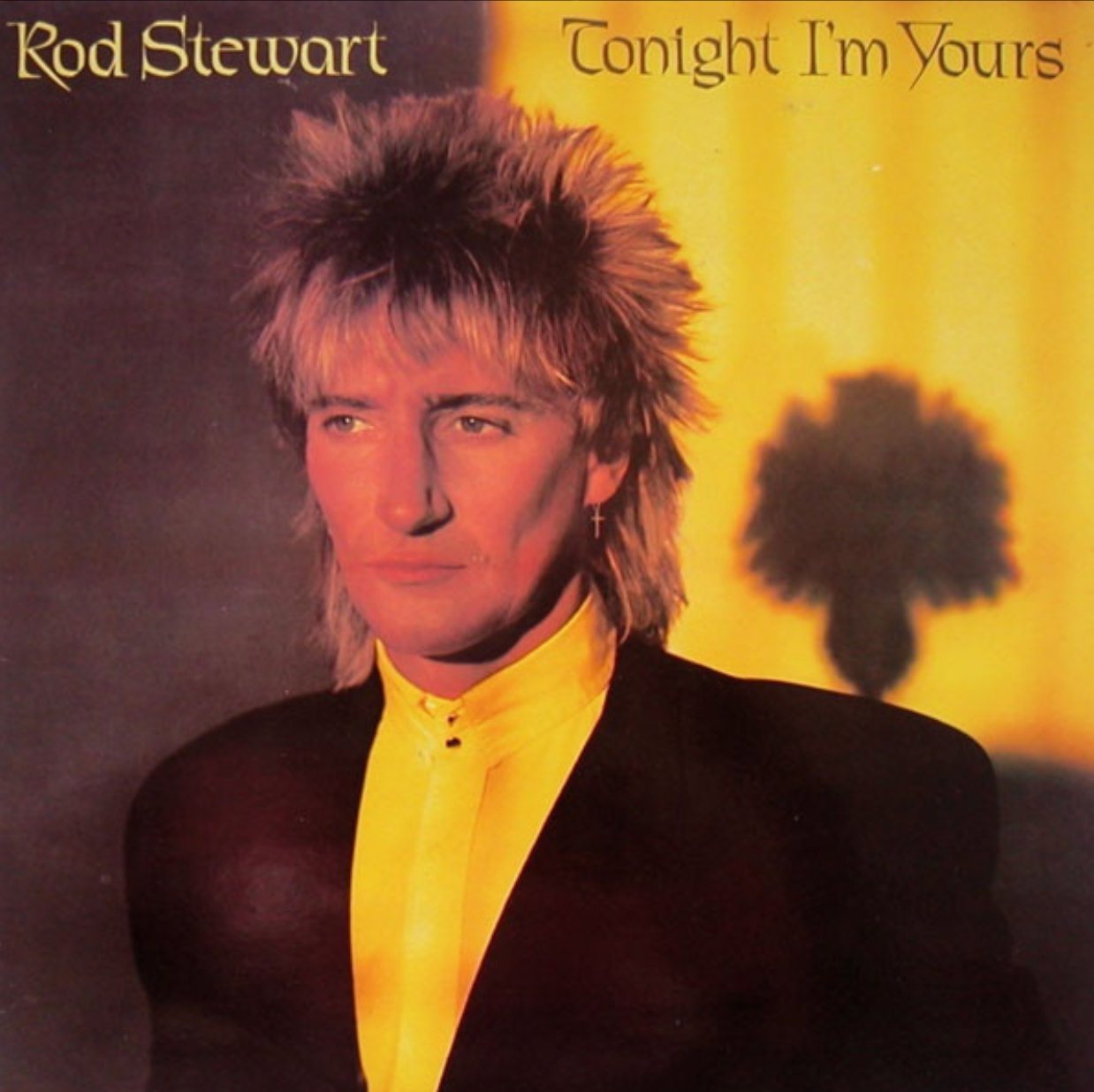 Rod Stewart - Tonight I'm Yours | Warner Bros. Records (N 56951) - main Rod Stewart - Tonight I'm Yours | Warner Bros. Records (N 56951) - main
