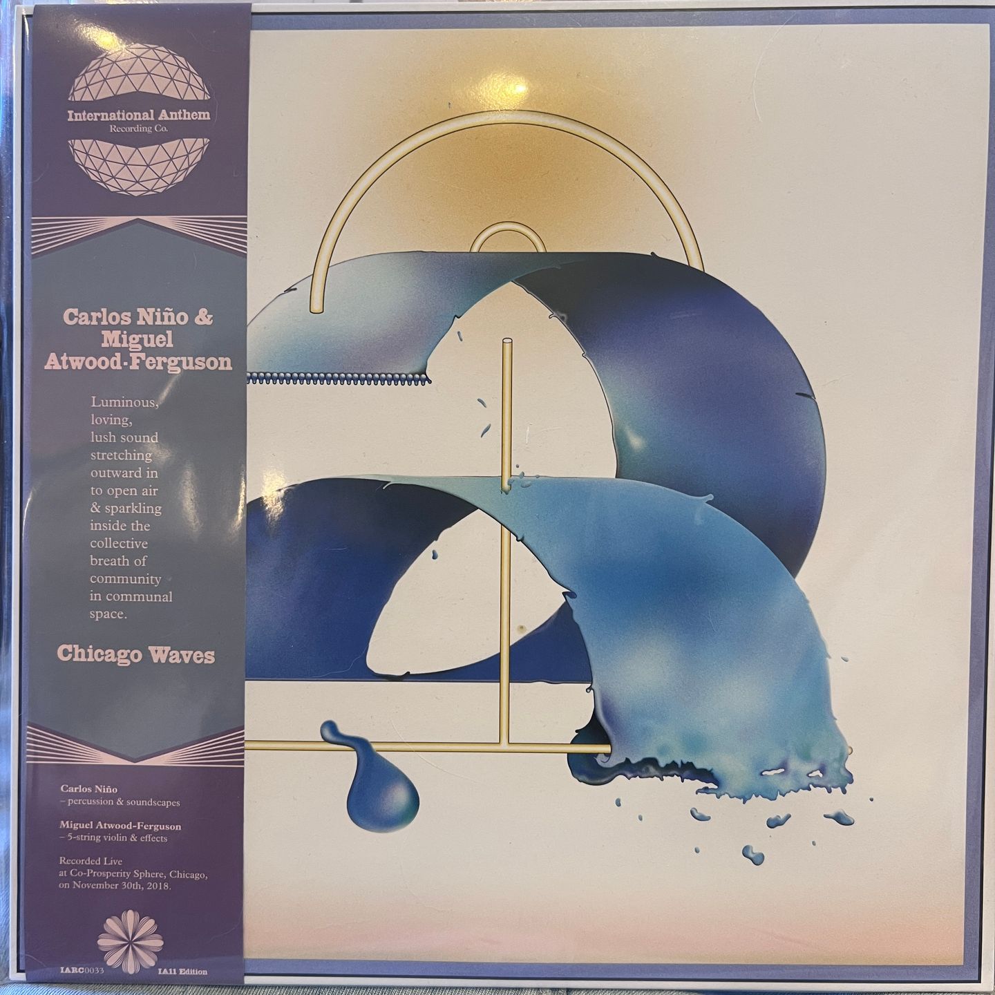 Carlos Niño & Miguel Atwood-Ferguson - Chicago Waves | International Anthem Recording Company (IARC0033)
