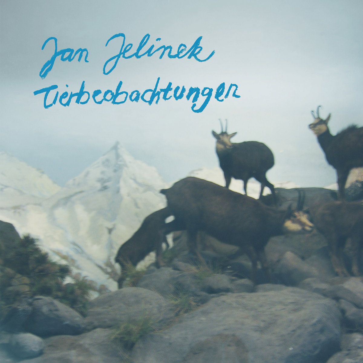 Jan Jelinek - Tierbeobachtungen | Faitiche (faitback07)