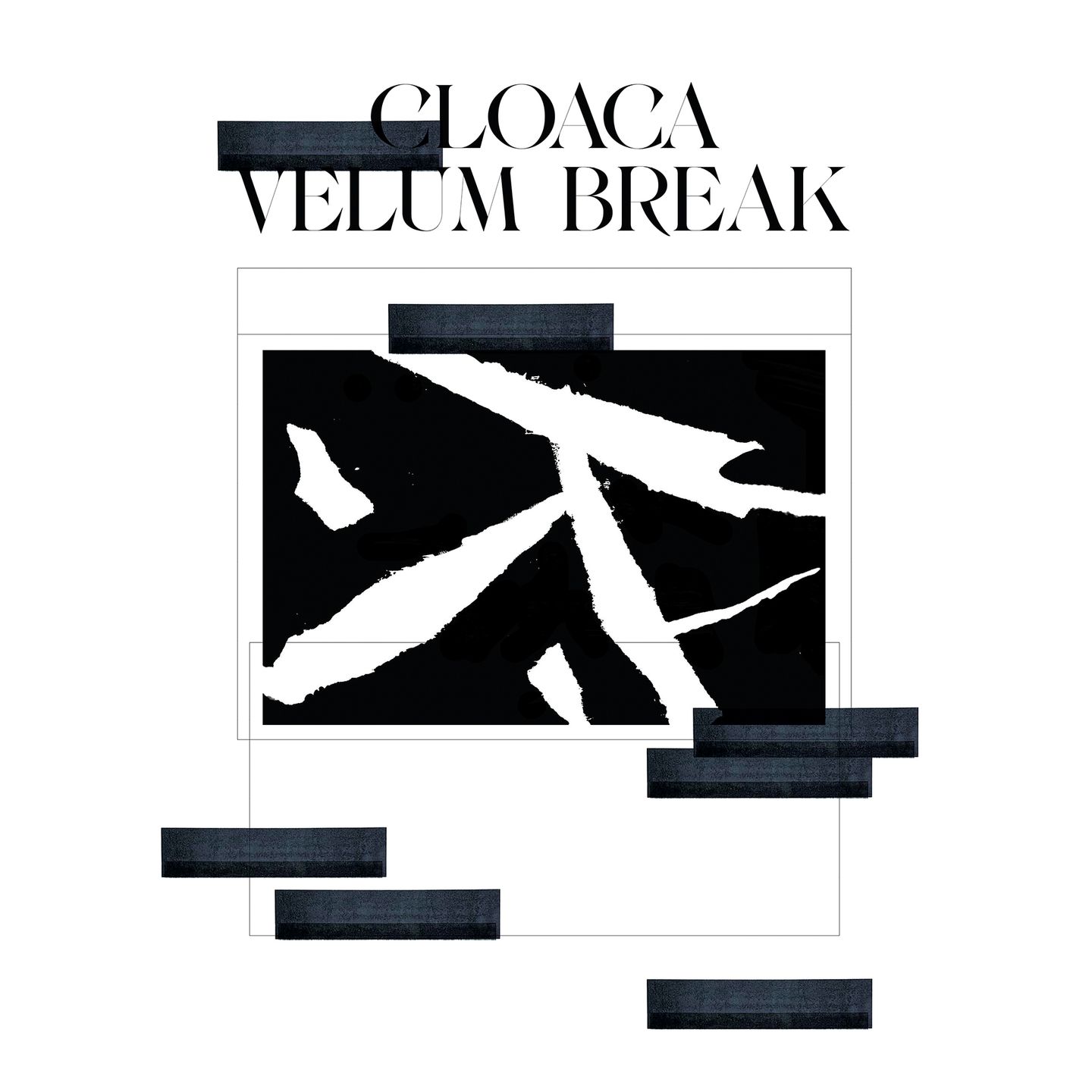 Velum Break - Cloaca | Analogical Force (AF036)