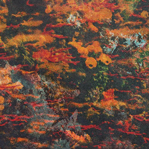 Deep Nalström - Naissance Aux Mondes Invisibles | Slow Life (SL035)