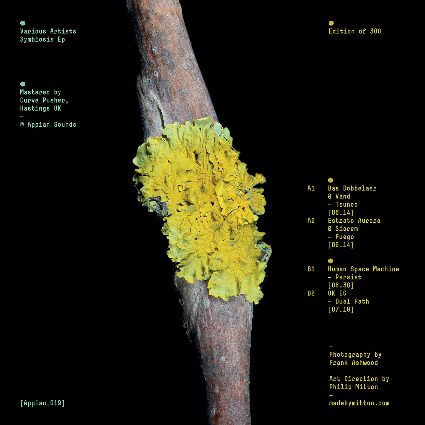 Various Artists - Symbiosis | Appian Sounds (APPIAN019) - 2