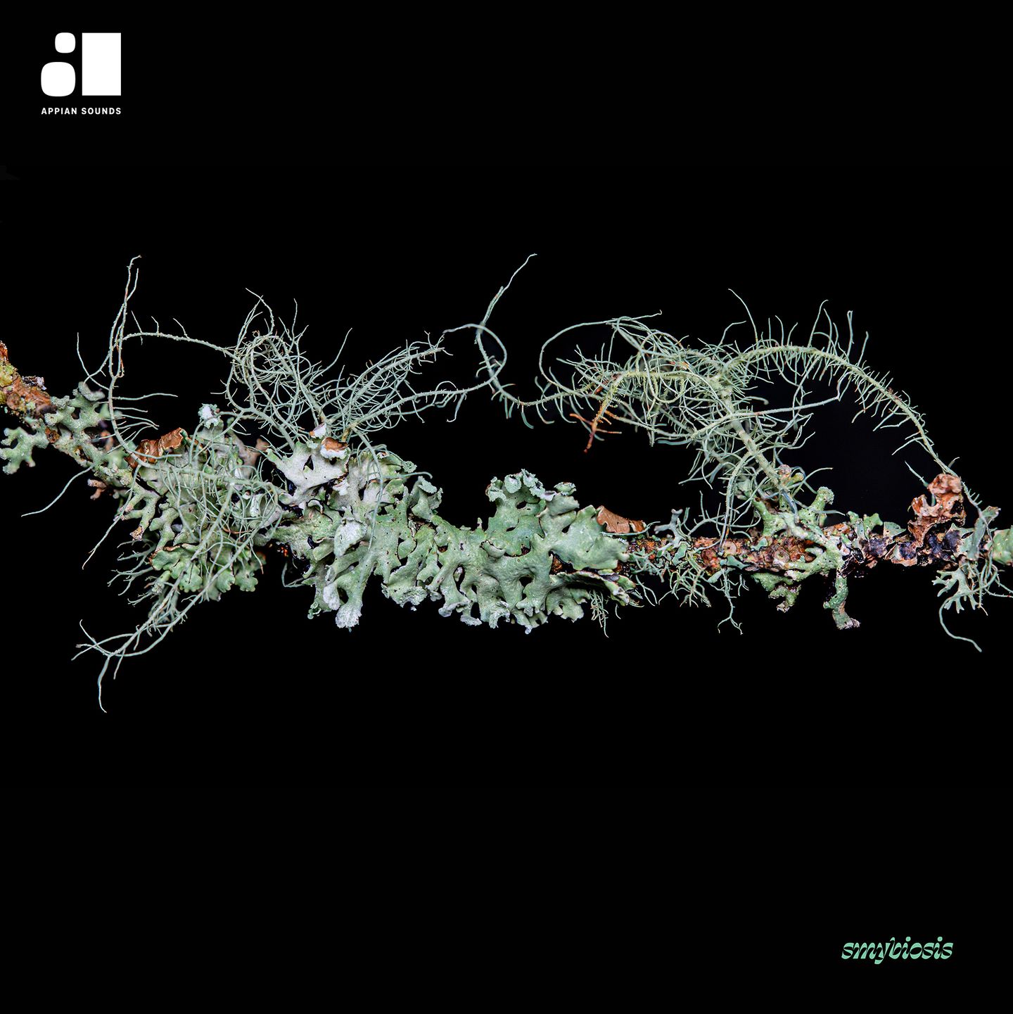 Various Artists - Symbiosis | Appian Sounds (APPIAN019)
