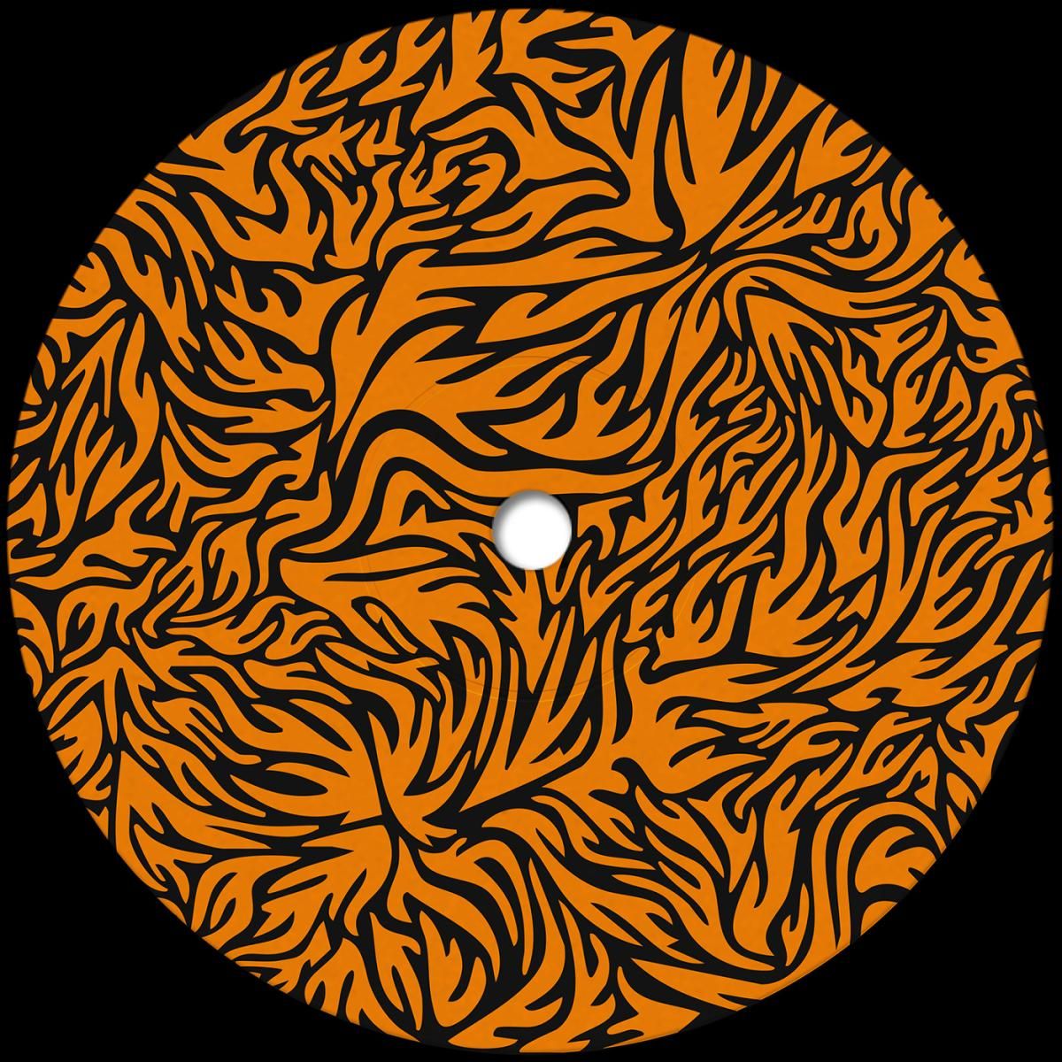 Roman Flügel - Cooking The Books EP | Phonica Records (PHONICA041) - main
