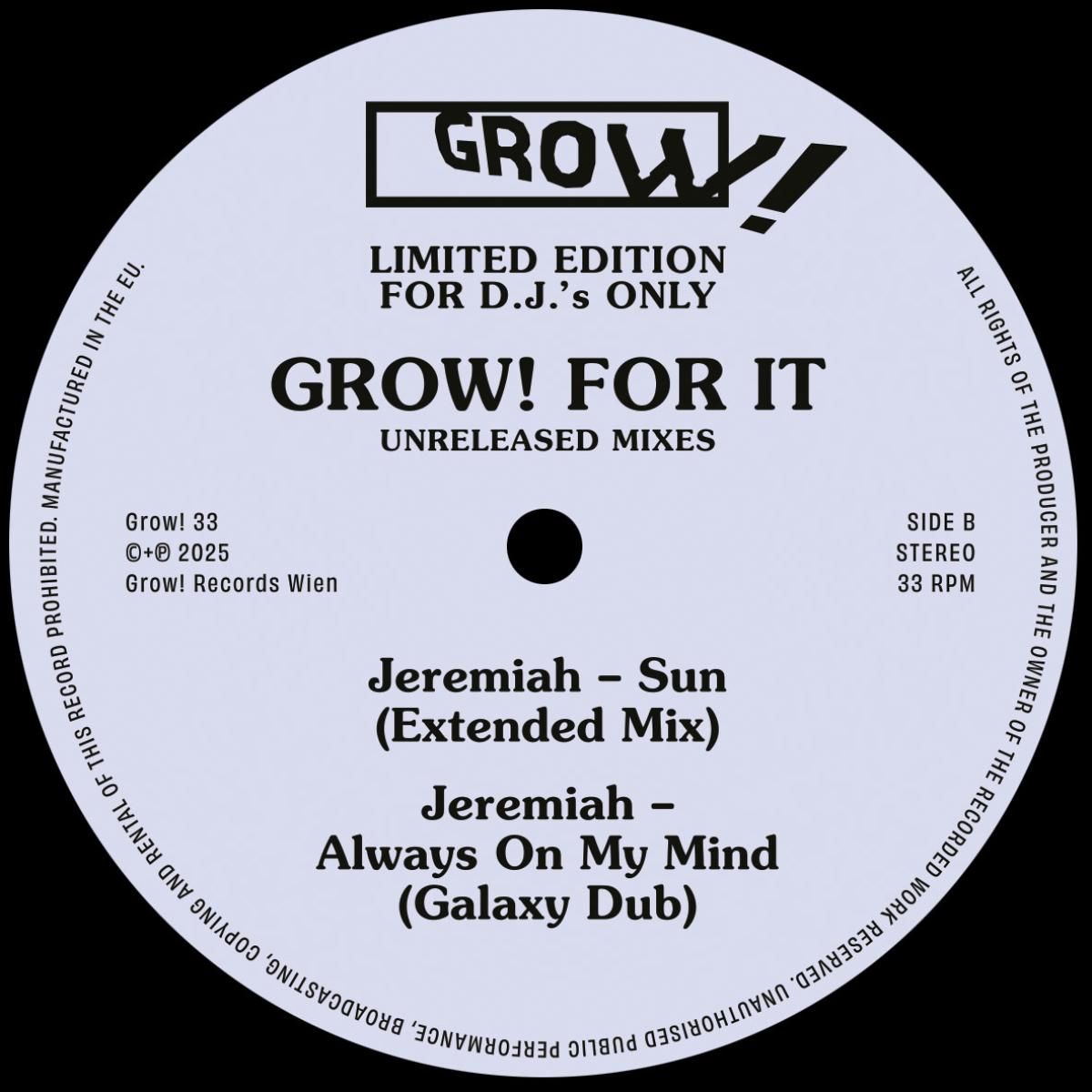 Various - GROW! FOR IT (UNRELEASED MIXES) | Grow! (GROW!33) - 3