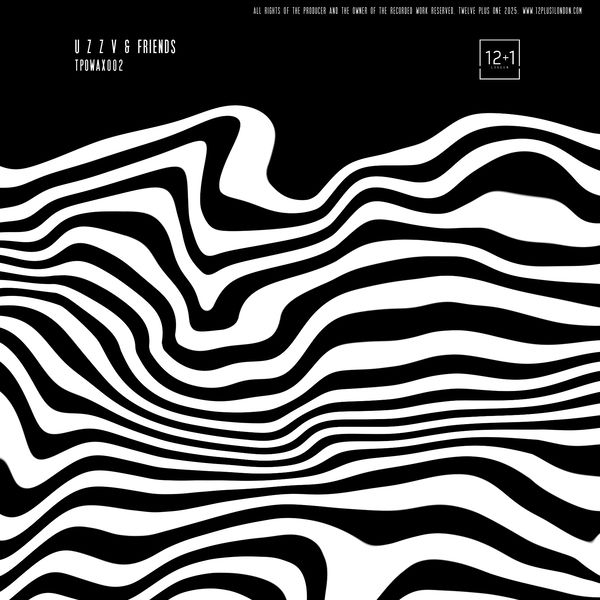 Various - U Z Z V & Friends | 12+1 London (TPOWAX002)
