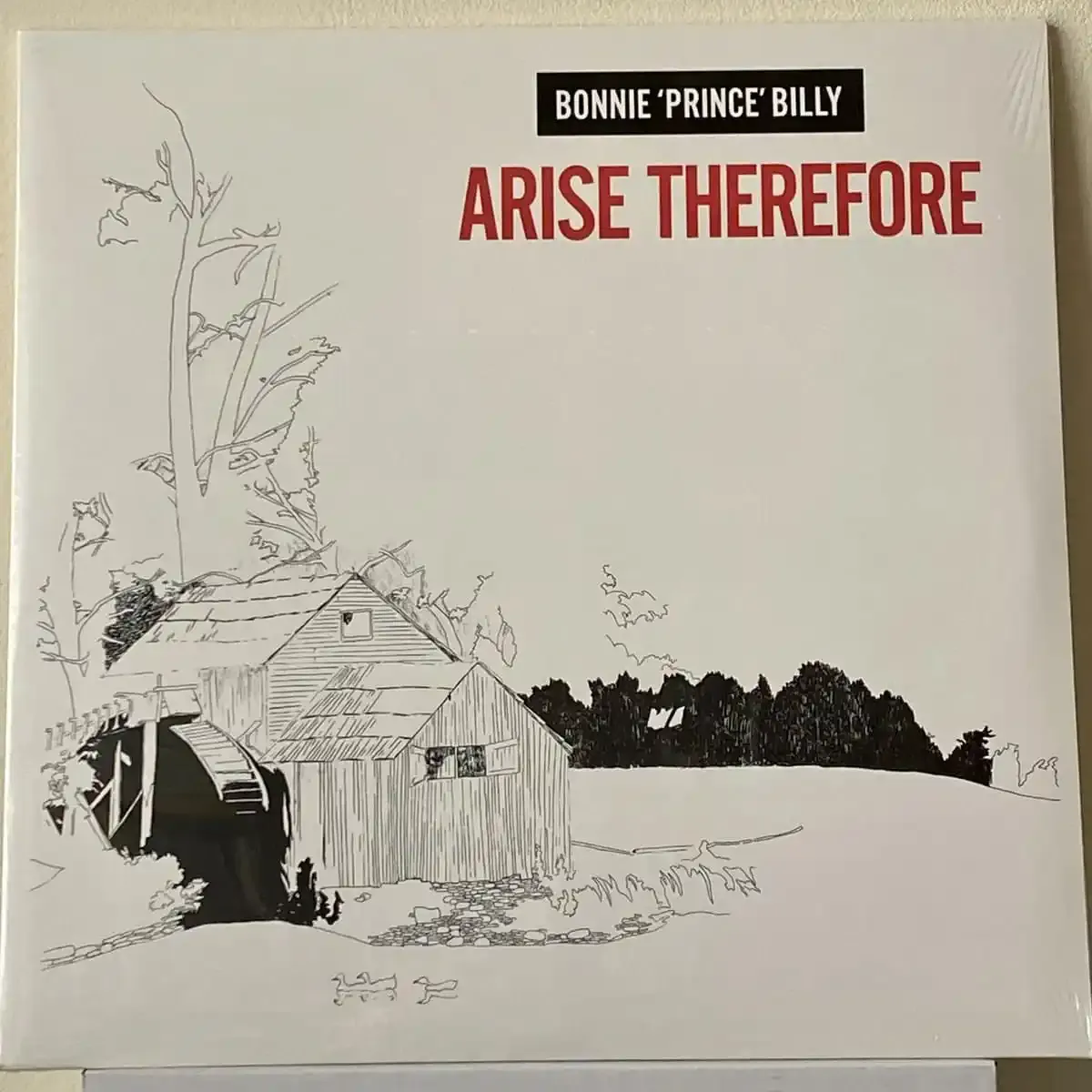 Palace - Arise Therefore | Domino (WIGLP 24) Palace - Arise Therefore | Domino (WIGLP 24)