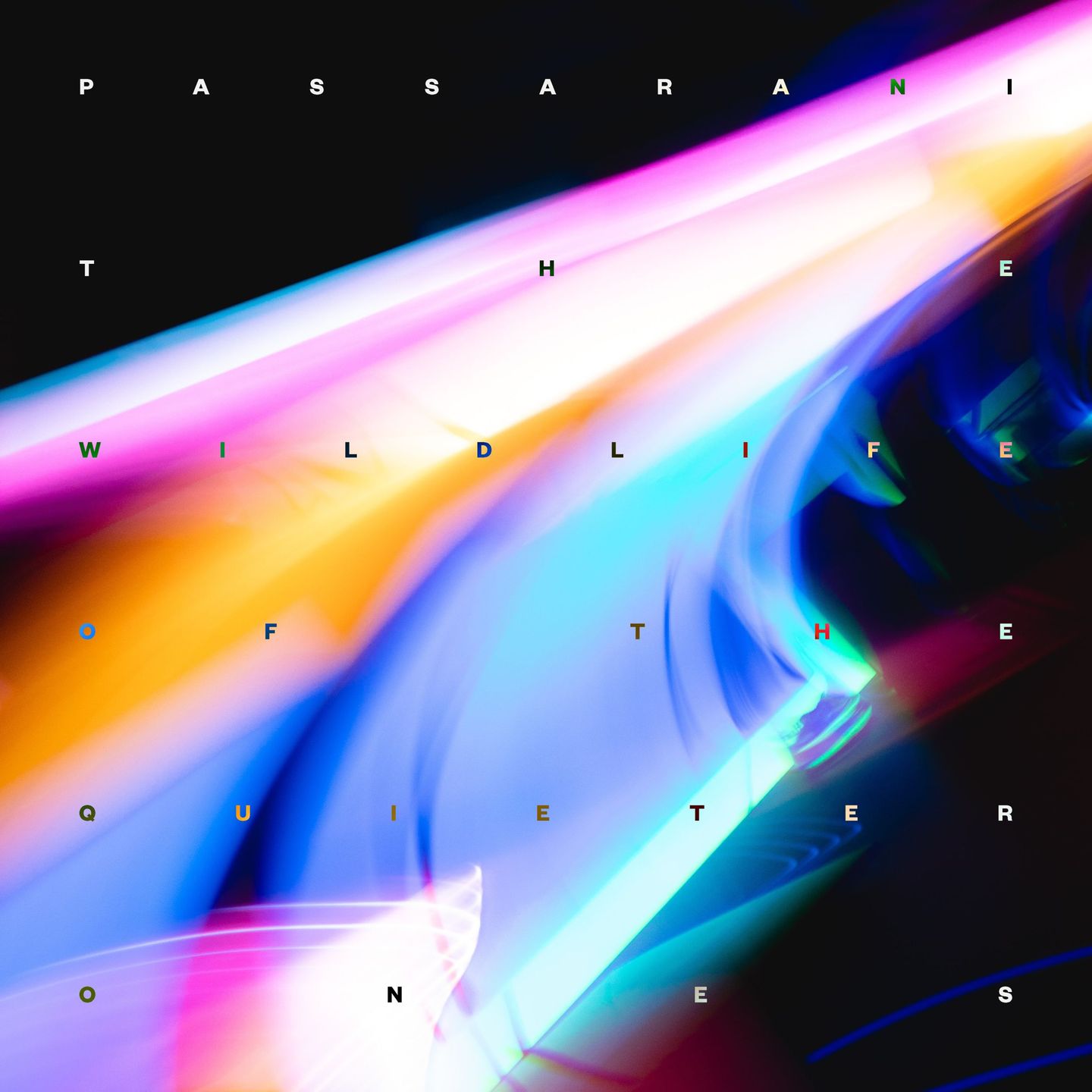 Marco Passarani - The Wildlife Of The Quieter Ones | Aus Music (AUSLP015)