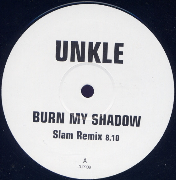 Burn My Shadow