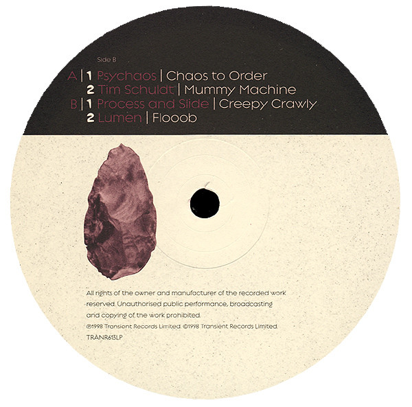 Transient Six (Theory Of Evolution)