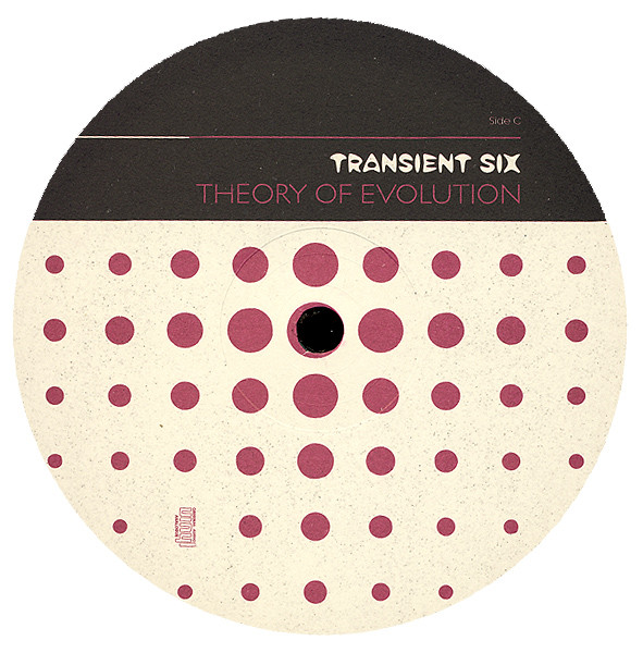 Transient Six (Theory Of Evolution)