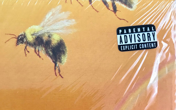 Tyler, The Creator - Scum Fuck Flower Boy | Columbia (88985469051) - 9