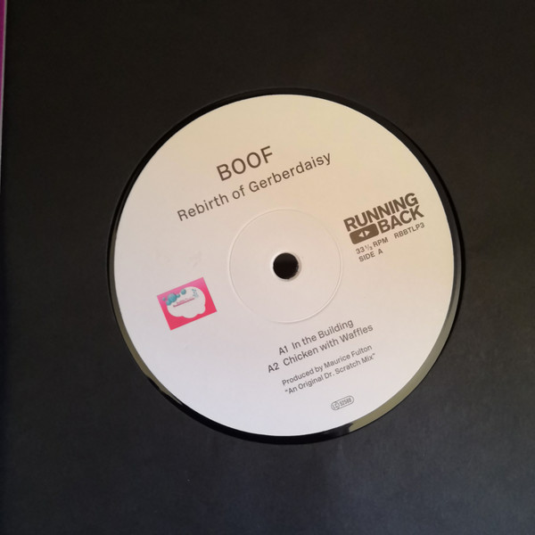 Rebirth Of Gerberdaisy