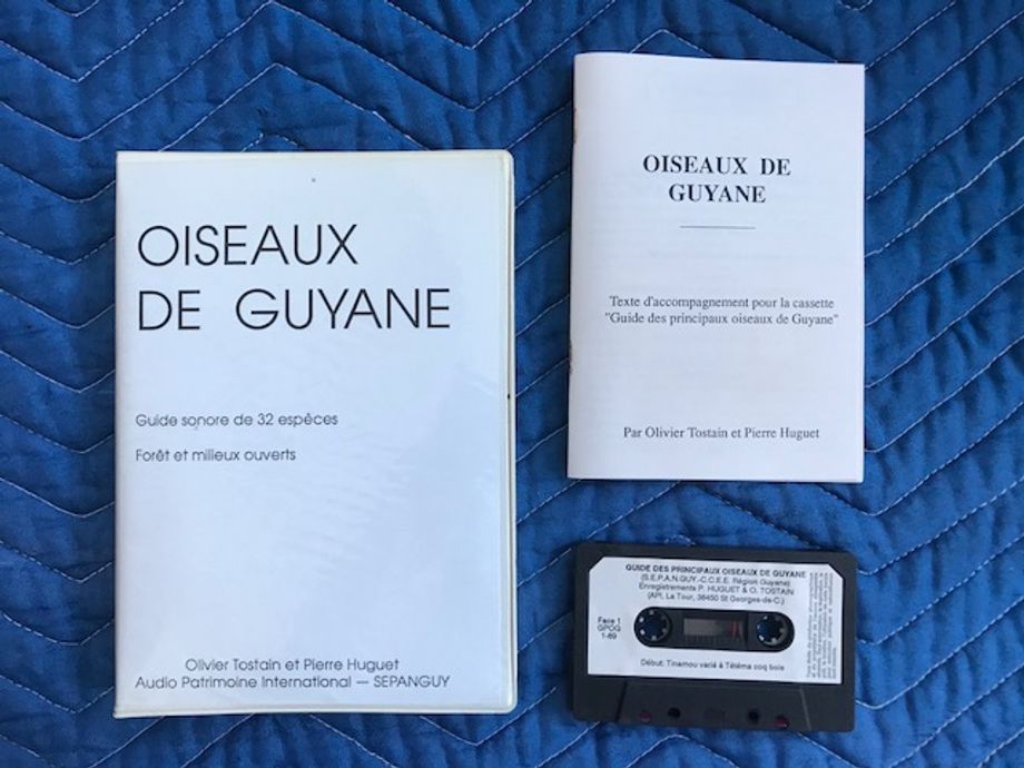 Oiseaux De Guyane