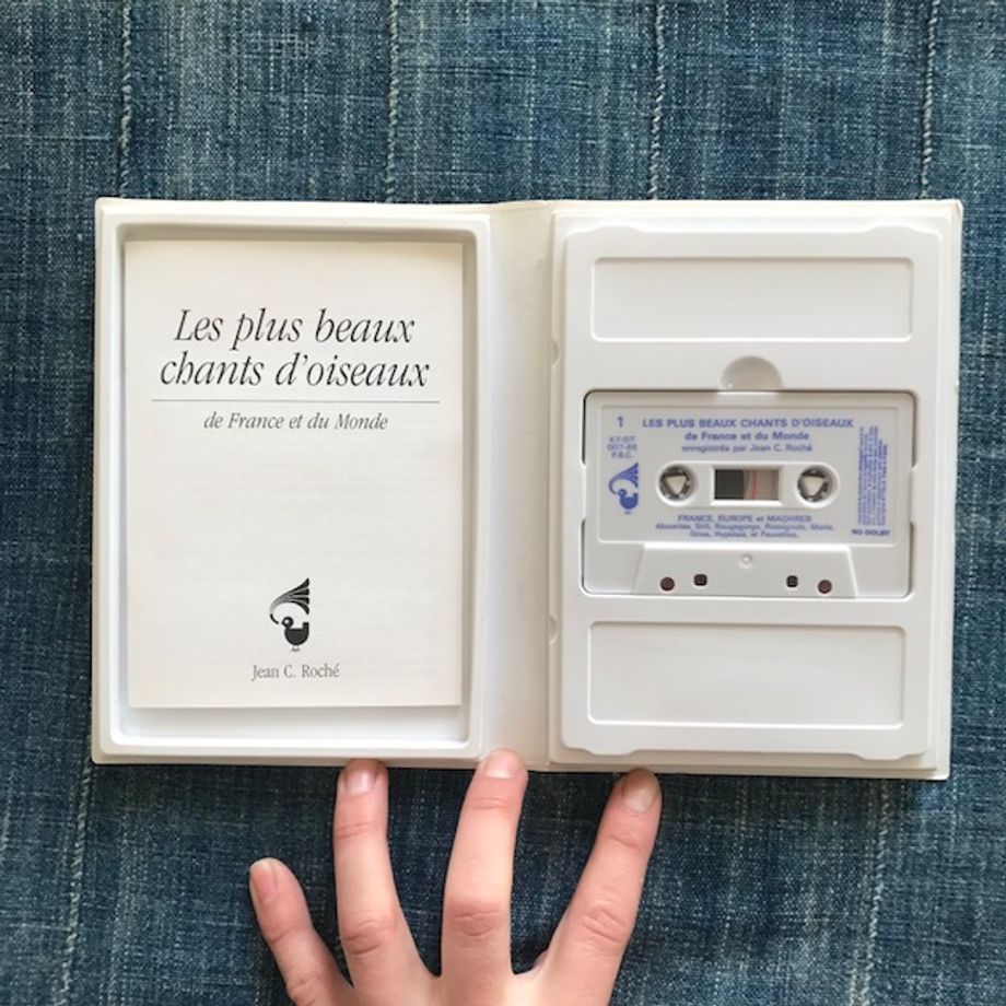 Les plus beaux chants d'oiseaux de France et du Monde